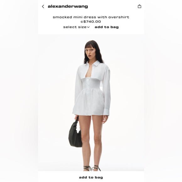 Alexander Wang Tops - Alexander Wang smocked mini dress with overshirt